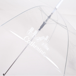 Regenschirm<br>transparent